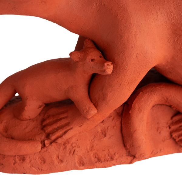 Tlacuache - Image 4